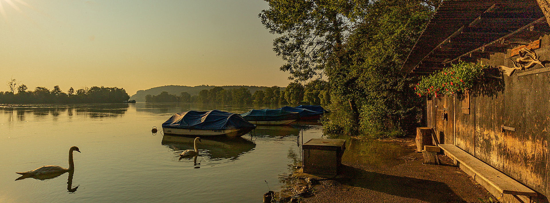 aare_morgenstimmung