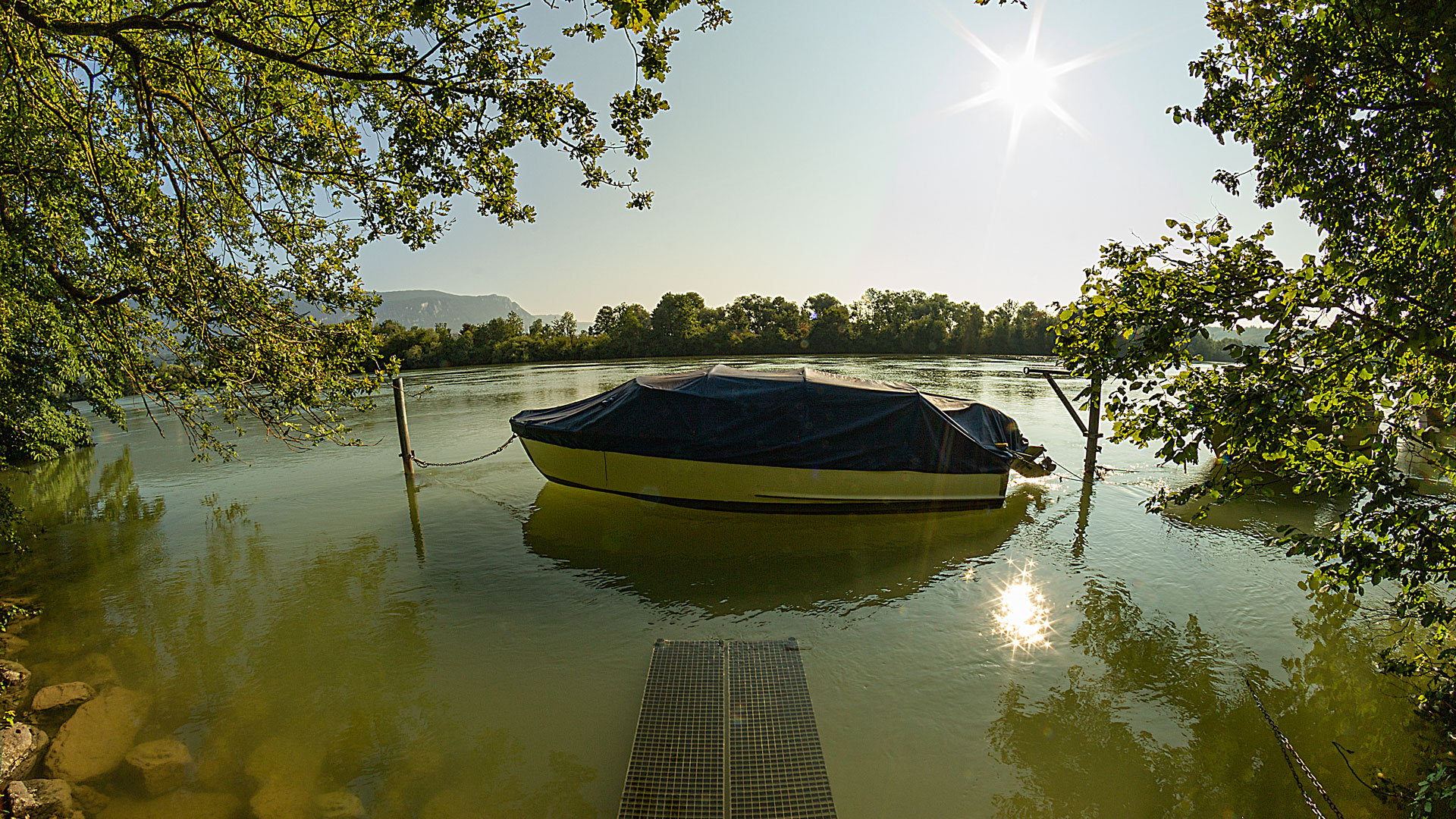 aare