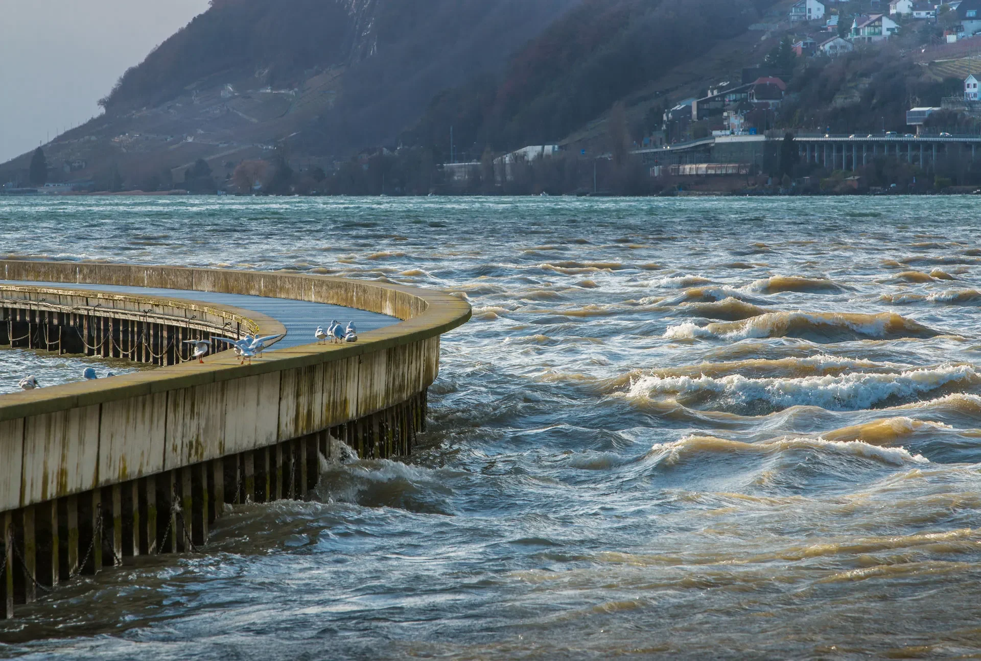 Bielersee