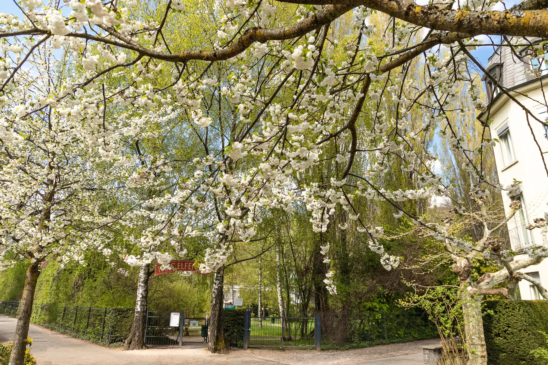 Elfenaupark