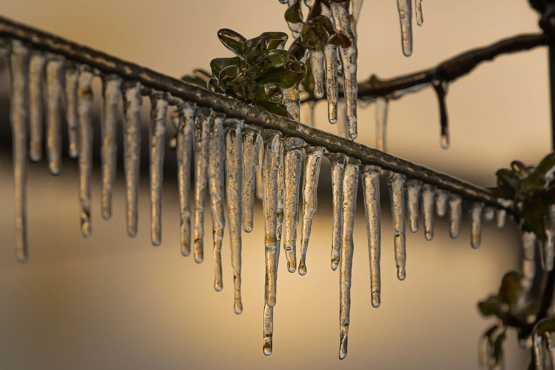 Eisstäbe