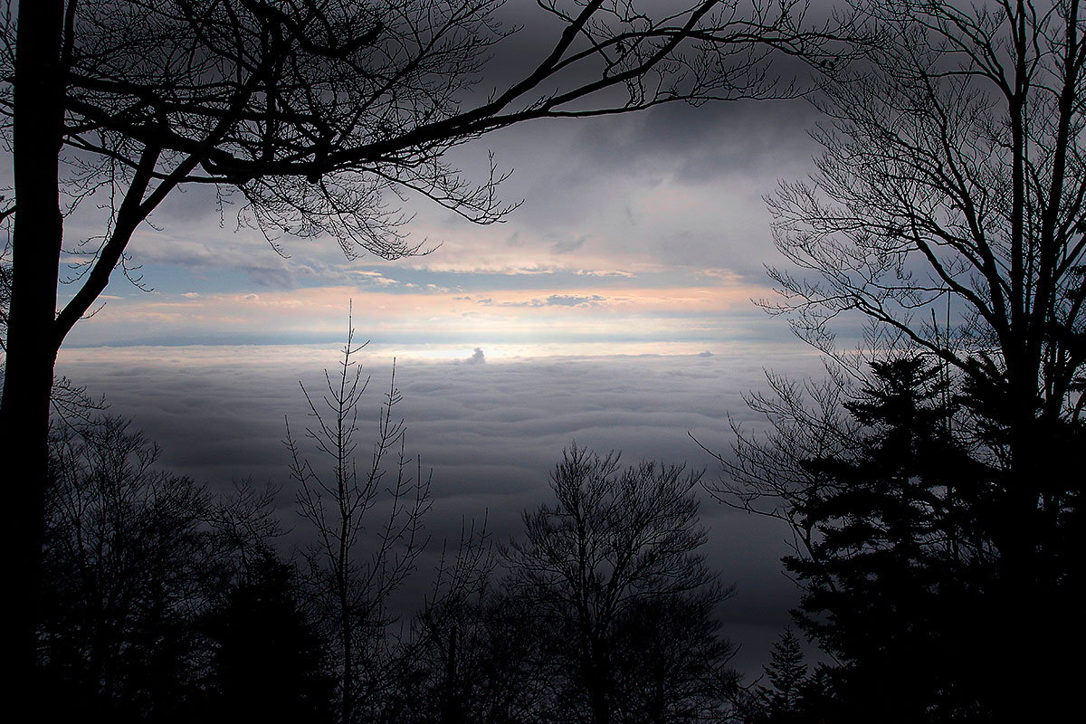 nebelblick