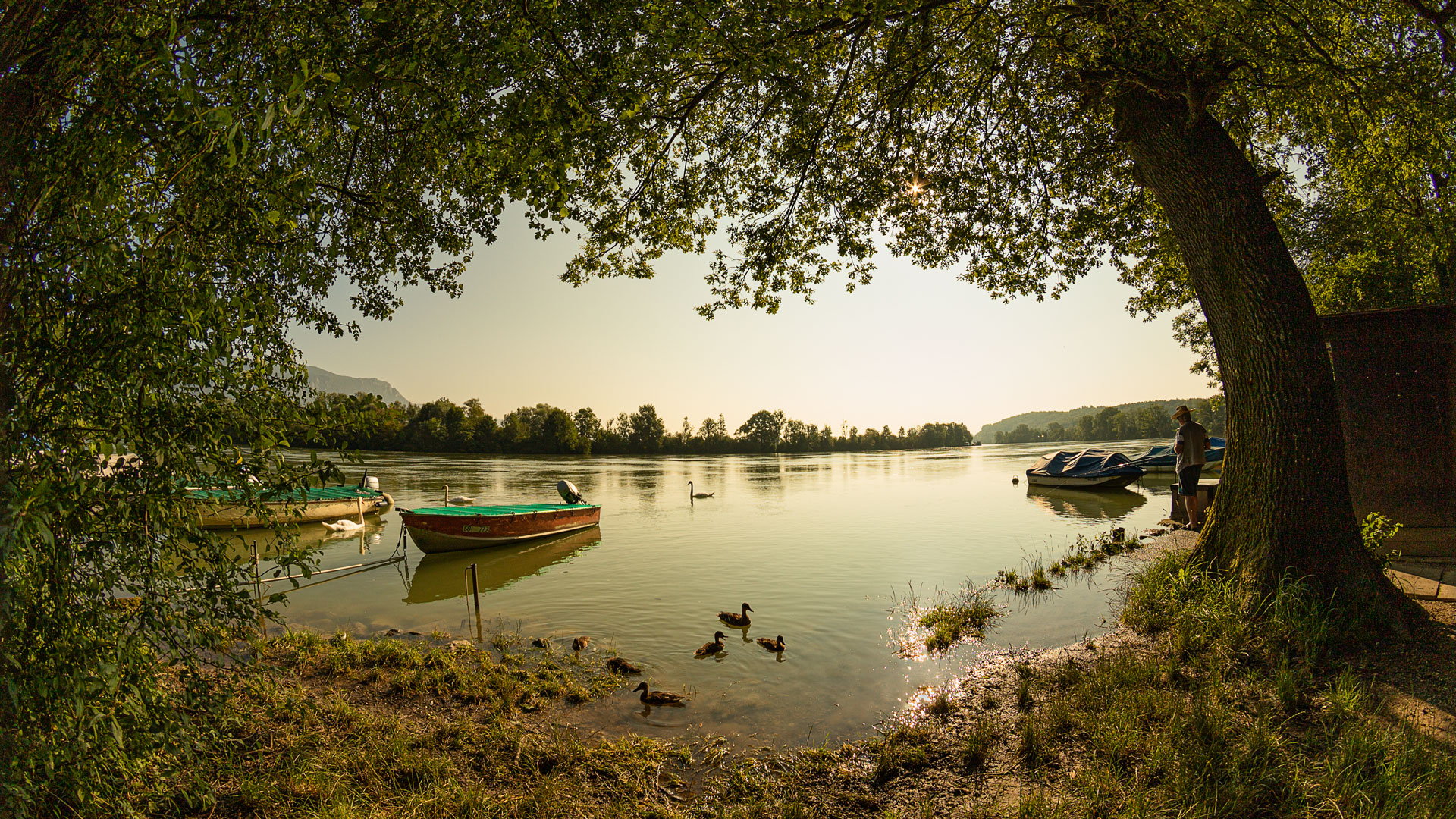 aare_morgenstimmung