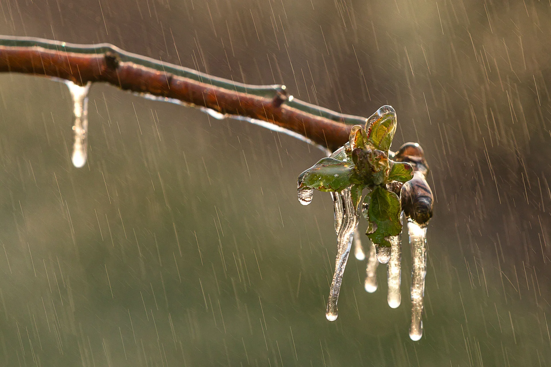Eisglitzer